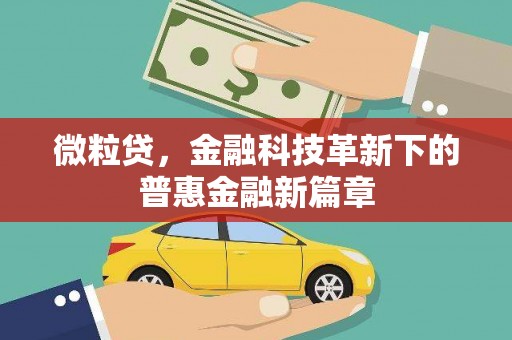 洋县微粒贷，金融科技革新下的普惠金融新篇章