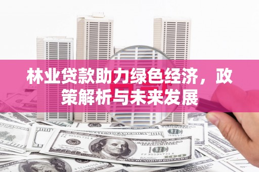 洋县林业贷款助力绿色经济，政策解析与未来发展
