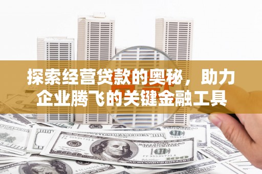 洋县探索经营贷款的奥秘，助力企业腾飞的关键金融工具