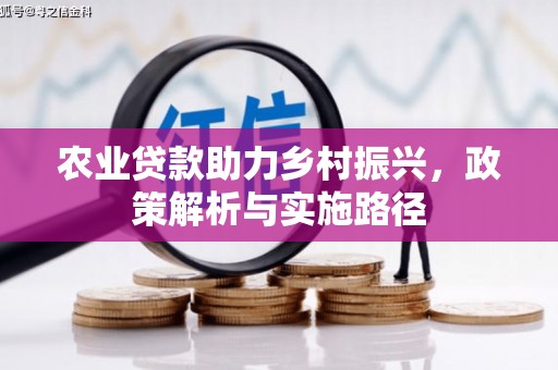 洋县农业贷款助力乡村振兴，政策解析与实施路径
