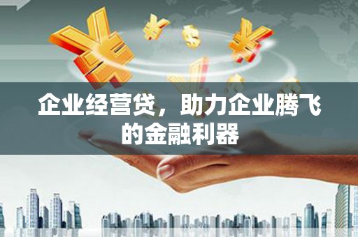 洋县企业经营贷，助力企业腾飞的金融利器