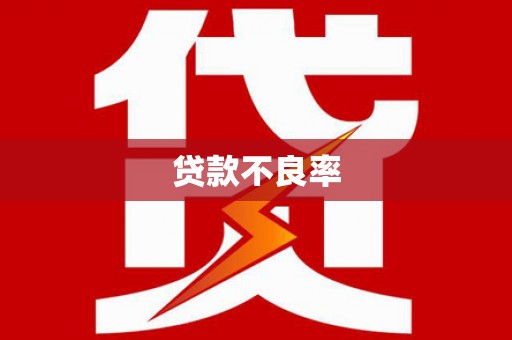 洋县贷款不良率