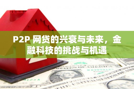 洋县P2P 网贷的兴衰与未来，金融科技的挑战与机遇