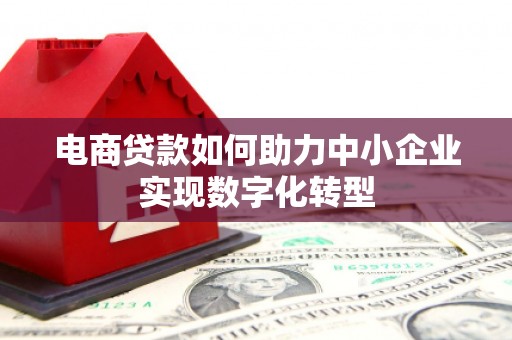 洋县电商贷款如何助力中小企业实现数字化转型