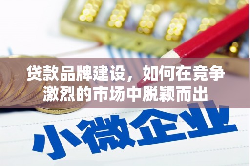 洋县贷款品牌建设，如何在竞争激烈的市场中脱颖而出