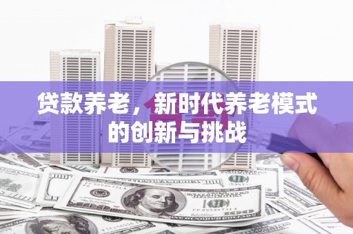 洋县贷款养老，新时代养老模式的创新与挑战