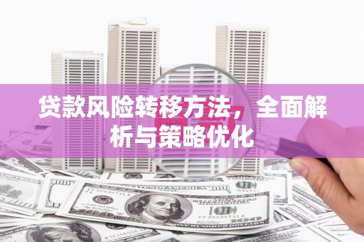 洋县贷款风险转移方法，全面解析与策略优化