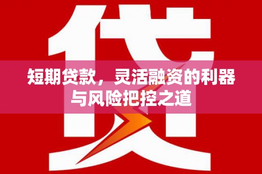 洋县短期贷款，灵活融资的利器与风险把控之道