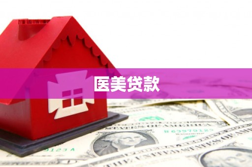 洋县医美贷款