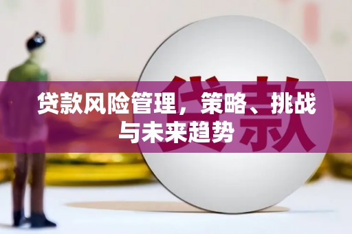 洋县贷款风险管理，策略、挑战与未来趋势