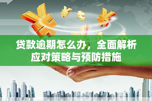 洋县贷款逾期怎么办，全面解析应对策略与预防措施