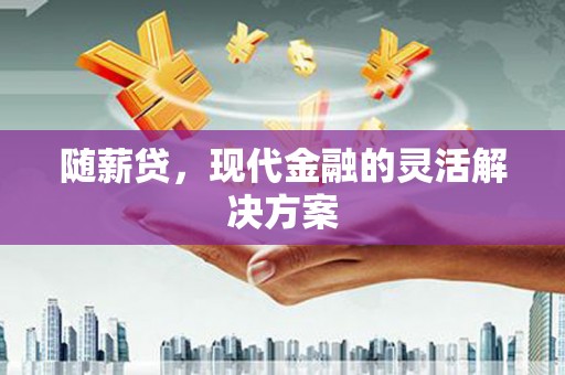 洋县随薪贷，现代金融的灵活解决方案