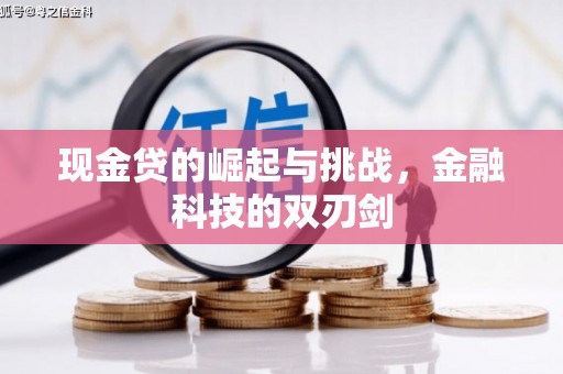 洋县现金贷的崛起与挑战，金融科技的双刃剑