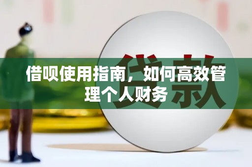 洋县借呗使用指南，如何高效管理个人财务