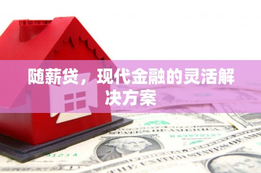 洋县随薪贷，现代金融的灵活解决方案