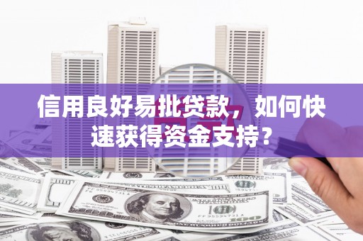洋县信用良好易批贷款，如何快速获得资金支持？