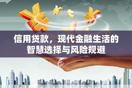 洋县信用贷款，现代金融生活的智慧选择与风险规避