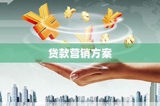 洋县贷款营销方案