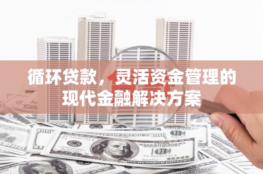 洋县循环贷款，灵活资金管理的现代金融解决方案