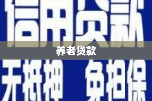 洋县养老贷款