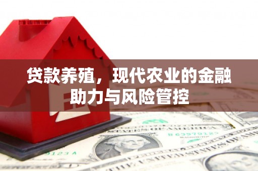 洋县贷款养殖，现代农业的金融助力与风险管控