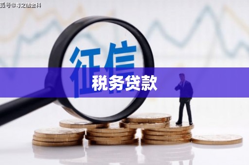 洋县税务贷款