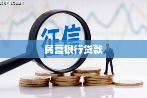 洋县民营银行贷款