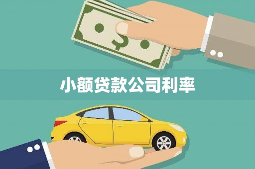 洋县小额贷款公司利率