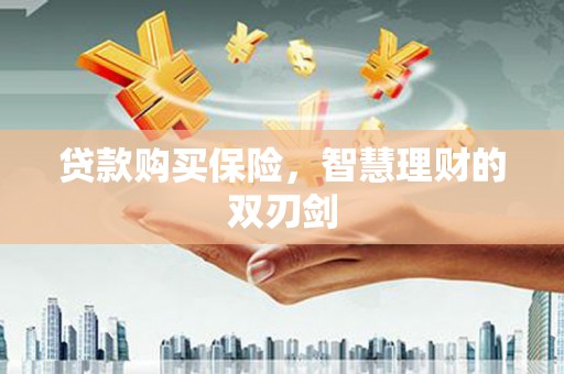 洋县贷款购买保险，智慧理财的双刃剑