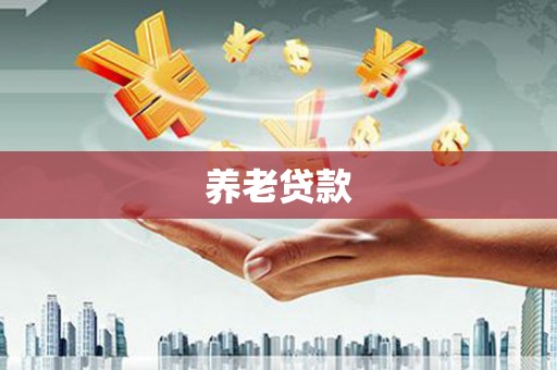 洋县养老贷款