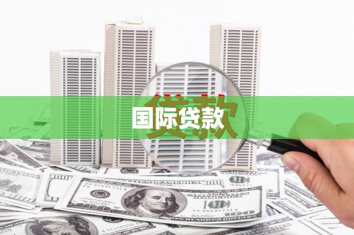 洋县国际贷款