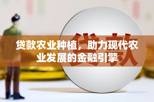 洋县贷款农业种植，助力现代农业发展的金融引擎
