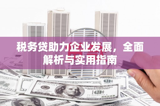 洋县税务贷助力企业发展，全面解析与实用指南
