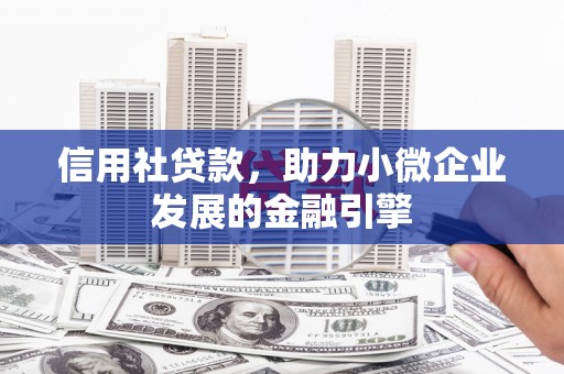 洋县信用社贷款，助力小微企业发展的金融引擎