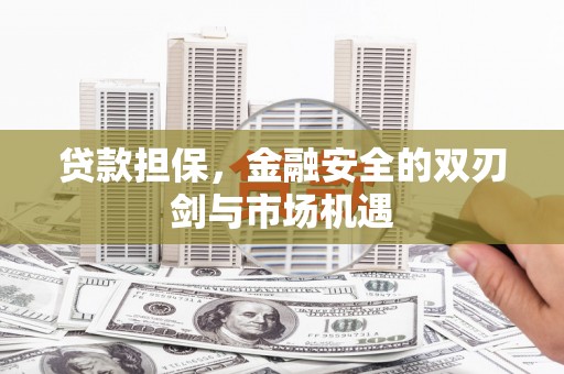 洋县贷款担保，金融安全的双刃剑与市场机遇