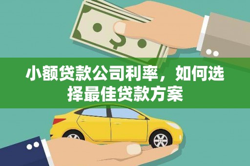 洋县小额贷款公司利率，如何选择最佳贷款方案