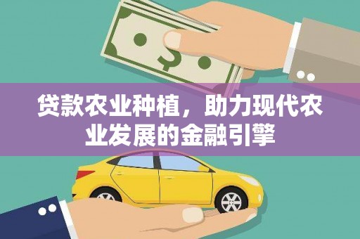 洋县贷款农业种植，助力现代农业发展的金融引擎
