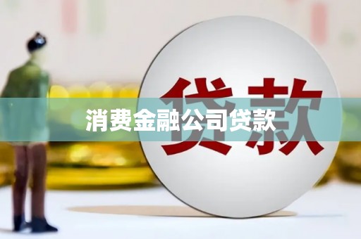 洋县消费金融公司贷款