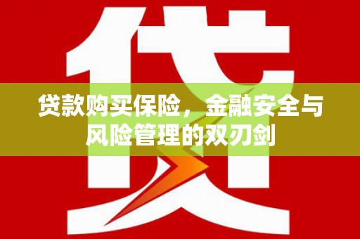 洋县贷款购买保险，金融安全与风险管理的双刃剑
