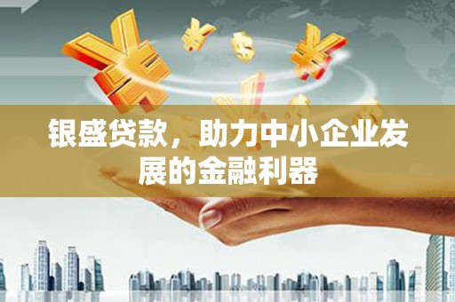 洋县银盛贷款，助力中小企业发展的金融利器