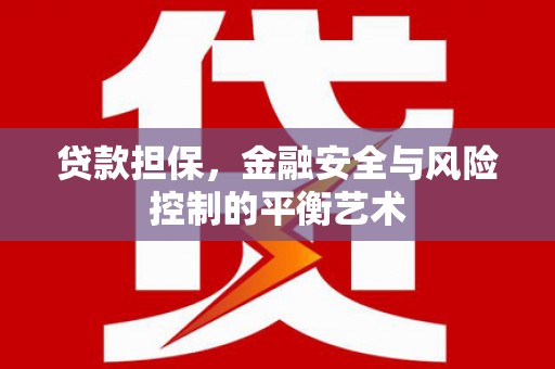 洋县贷款担保，金融安全与风险控制的平衡艺术