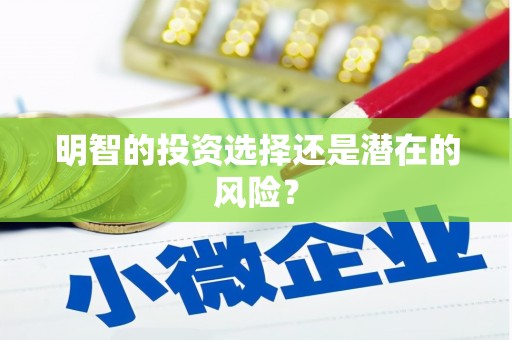 洋县明智的投资选择还是潜在的风险？