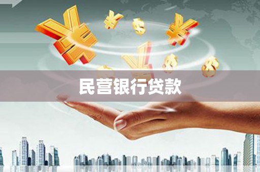 洋县民营银行贷款