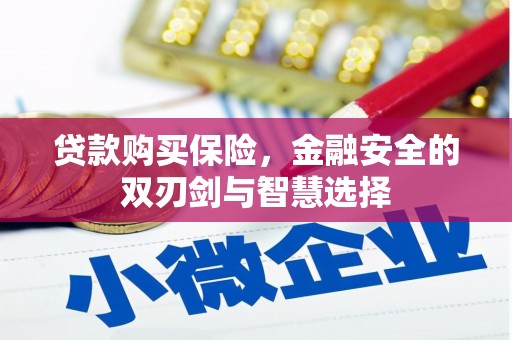 洋县贷款购买保险，金融安全的双刃剑与智慧选择