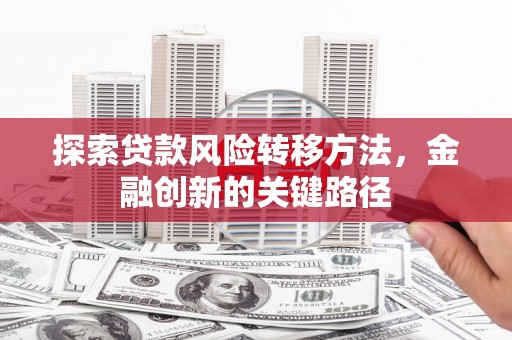 洋县探索贷款风险转移方法，金融创新的关键路径
