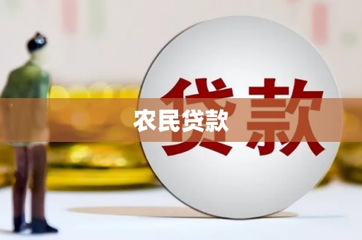 洋县农民贷款