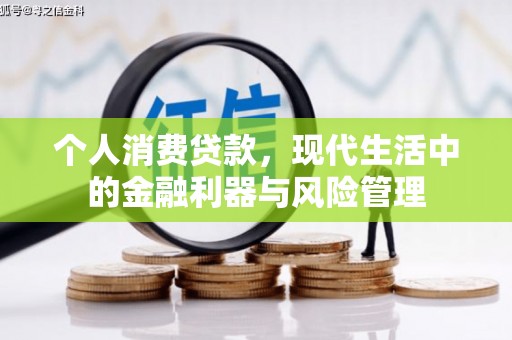 洋县个人消费贷款，现代生活中的金融利器与风险管理