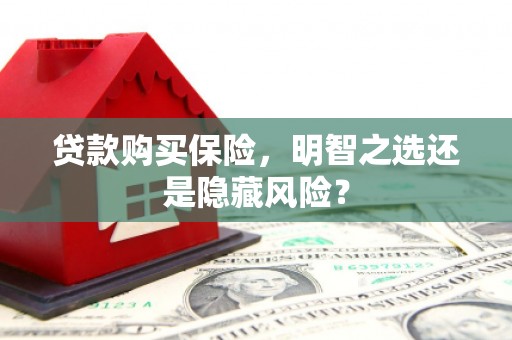 洋县贷款购买保险，明智之选还是隐藏风险？