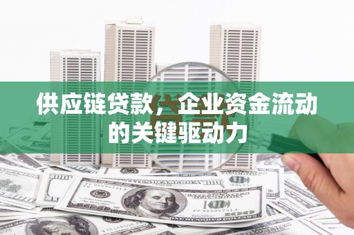洋县供应链贷款，企业资金流动的关键驱动力
