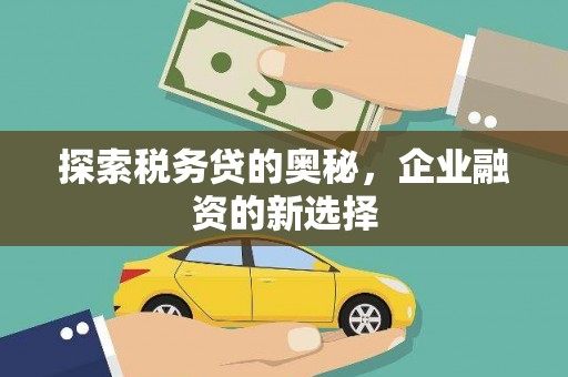 洋县探索税务贷的奥秘，企业融资的新选择